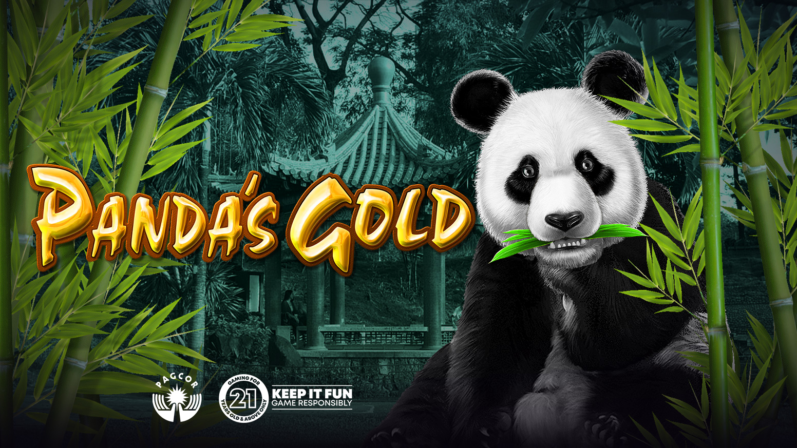 Panda na may Gold
