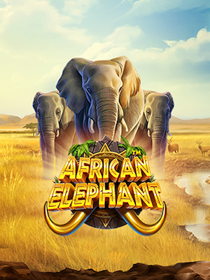 African Elephant - Pragmatic Play