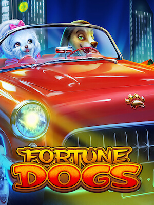 Fortune Dogs - Habanero - SGFortuneDogs