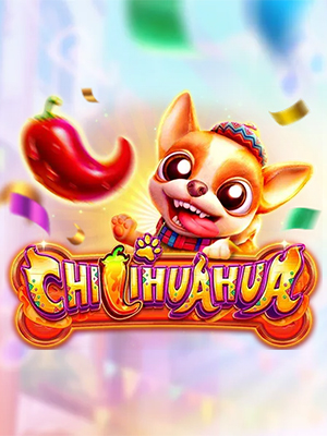 CHILIHUAHUA - Fachai