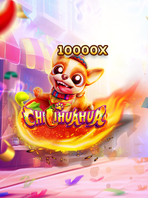 Chilihuahua - Fachai