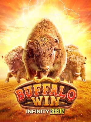 Buffalo Win - PG Soft - buffalo-win
