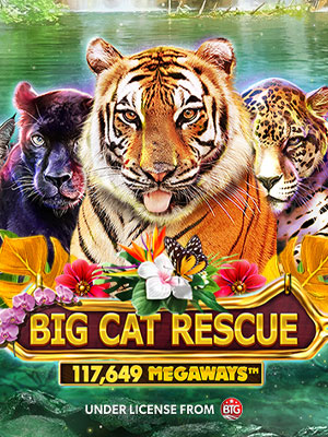 Big Cat Rescue MegaWays - Red Tiger