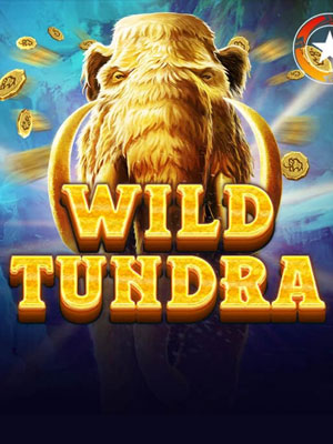Wild Tundra - Red Tiger