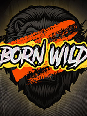 Born Wild - ST8 Hacksaw Gaming