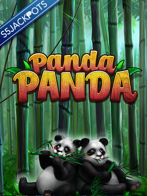 Panda Panda - Habanero